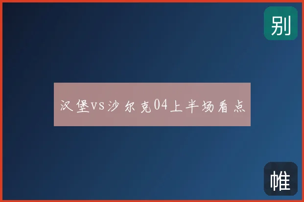 汉堡vs沙尔克04上半场看点